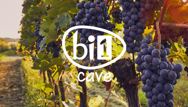 bi1-cave-vente-de-vin-en-ligne