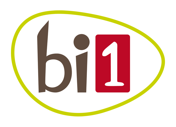 logo-bi1-création-de-l'enseigne