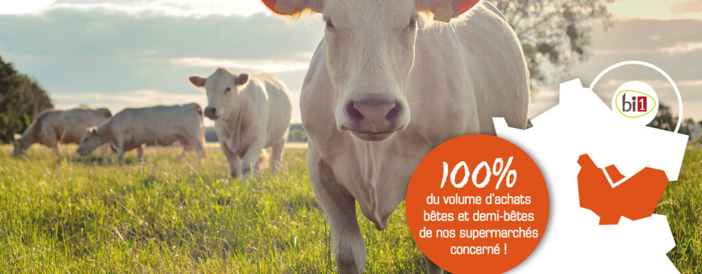 contractualisation-viande-bovine-schiever